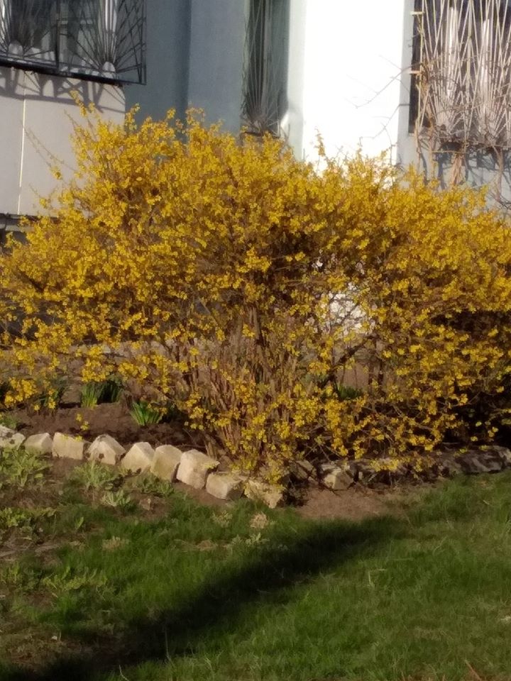 Фото: Ольга Бут/Facebook