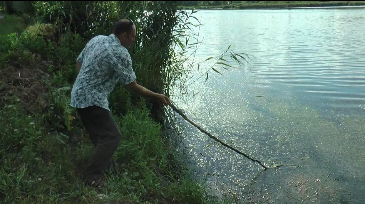 Фото: МГ "Объектив"