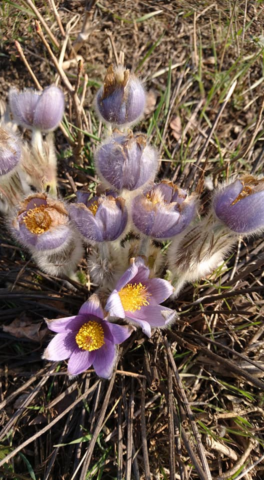 Ботанический сад. Татьяна Сатарина/Facebook