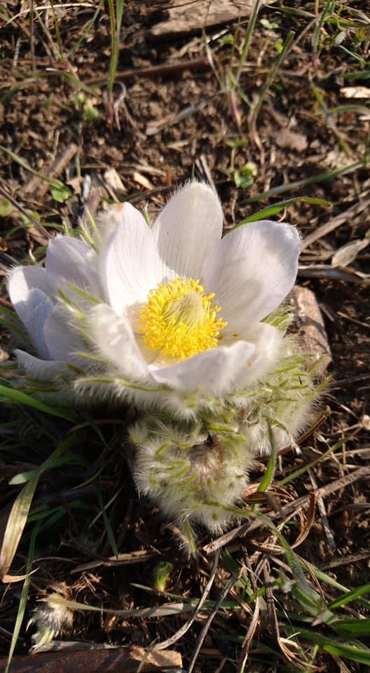 Ботанический сад. Фото: Татьяна Сатарина/Facebook