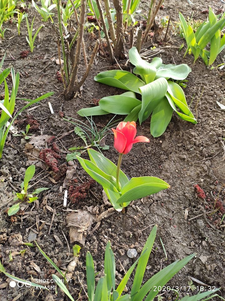 Фото: Mikhail Sukh/Facebook