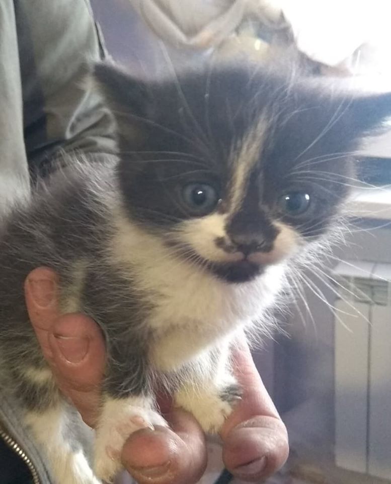 Фото: Спасение животных Харьков