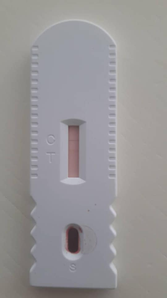 Фото: Владимир Скоробагач