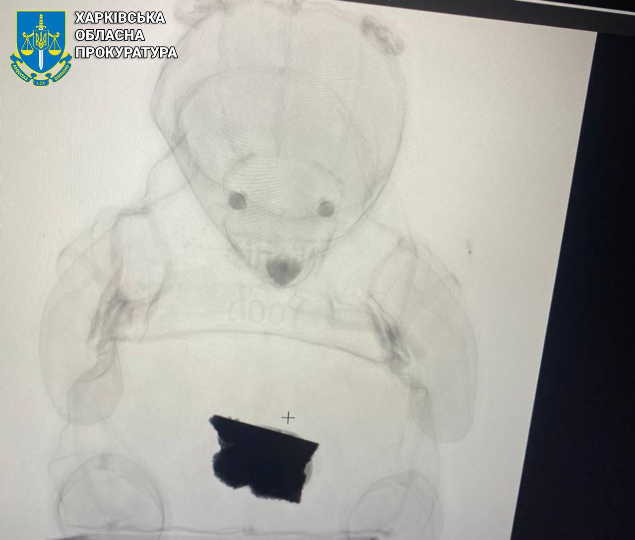 Ліквідовано міжрегіональну групу, яка продавала метадон та димедрол. Фото: Харківська облпрокуратура