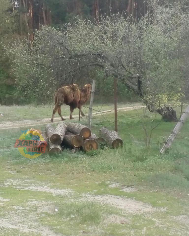 Фото: "Харьков в теме"