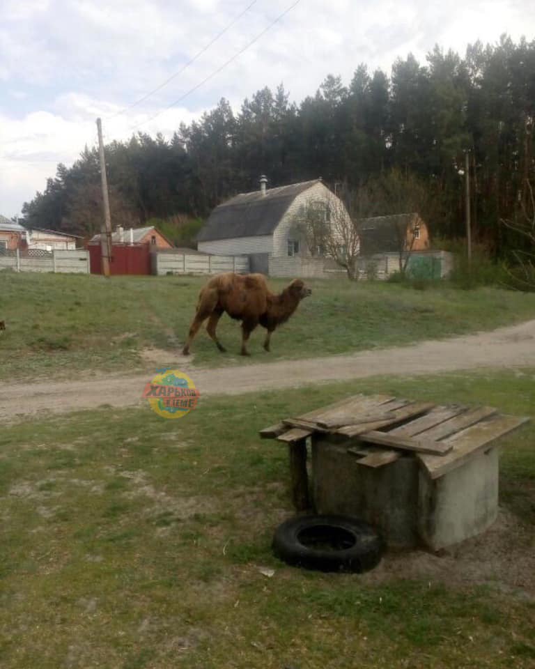 Фото: "Харьков в теме"