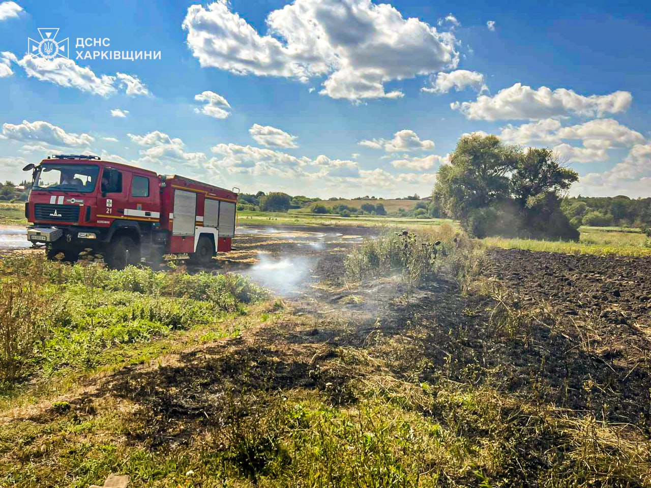 Знепритомнів біля вогню: чоловік ледь не згорів під час пожежі на Харківщині. Фото: ДСНС 