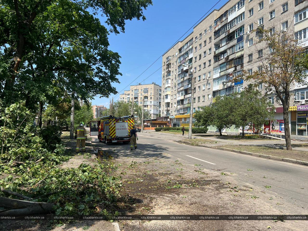 Более 500 крыш и тысяча деревьев: Харьков ликвидирует последствия мощного урагана. Фото: Харьковский горсовет