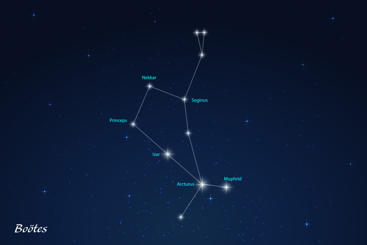 Волопас. Фото: gettyimages/grebeshkovmaxim