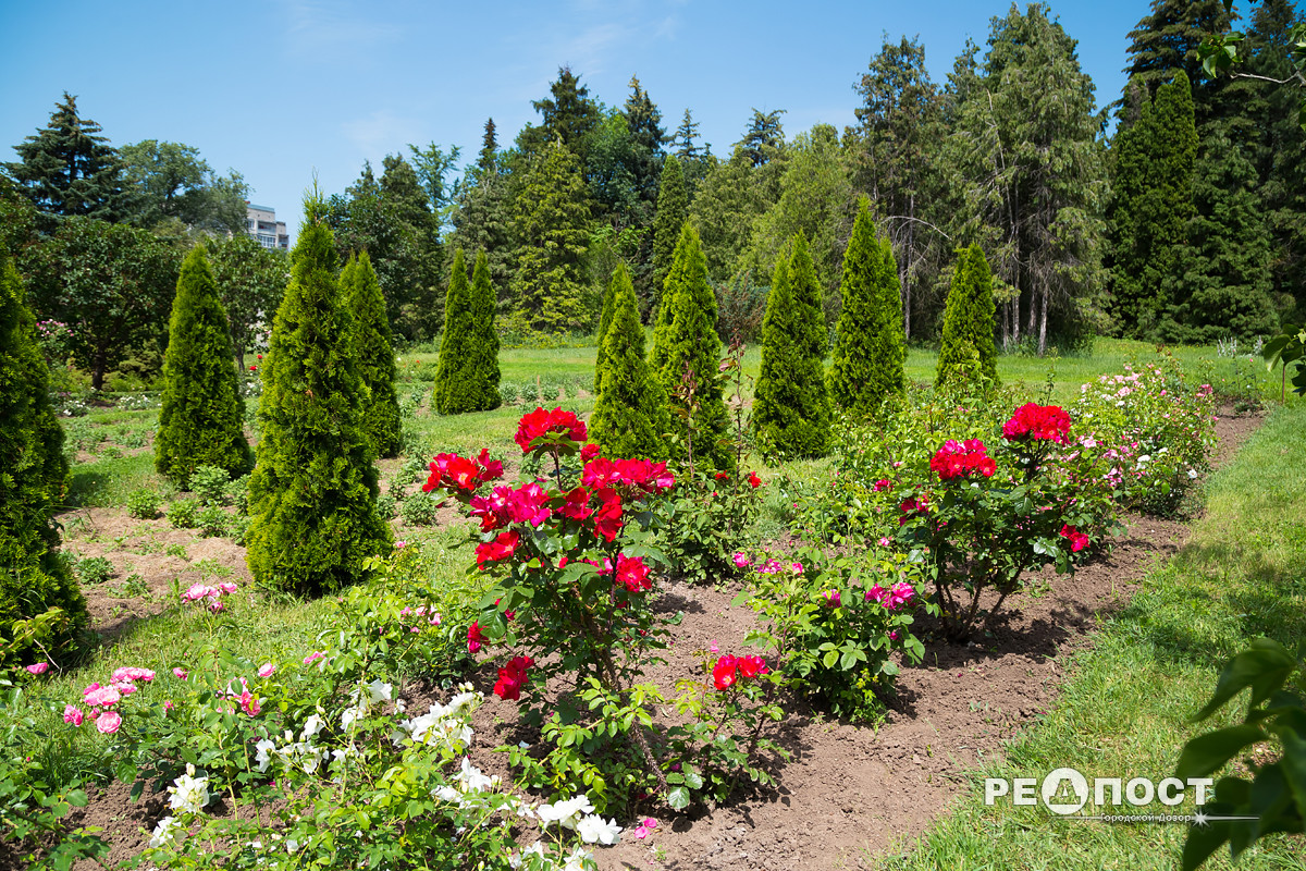 Фото: Василий Голосный/"Редпост"
