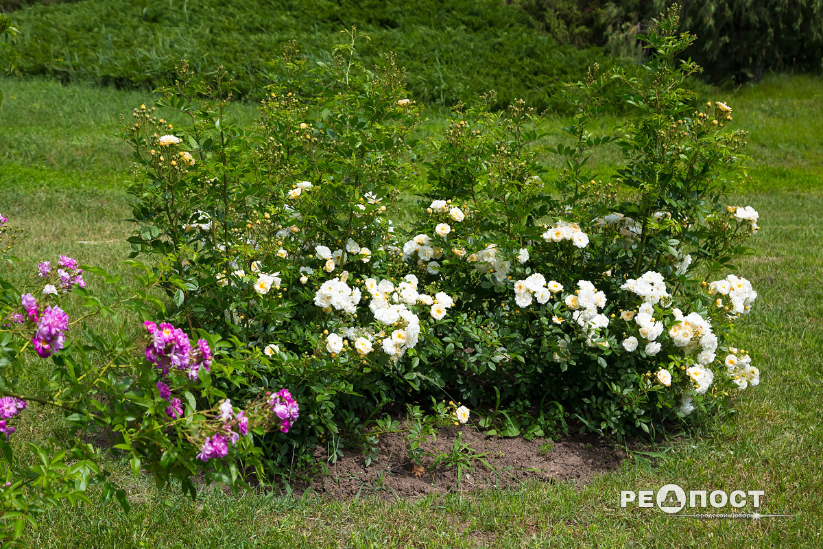 Фото: Василий Голосный/"Редпост"