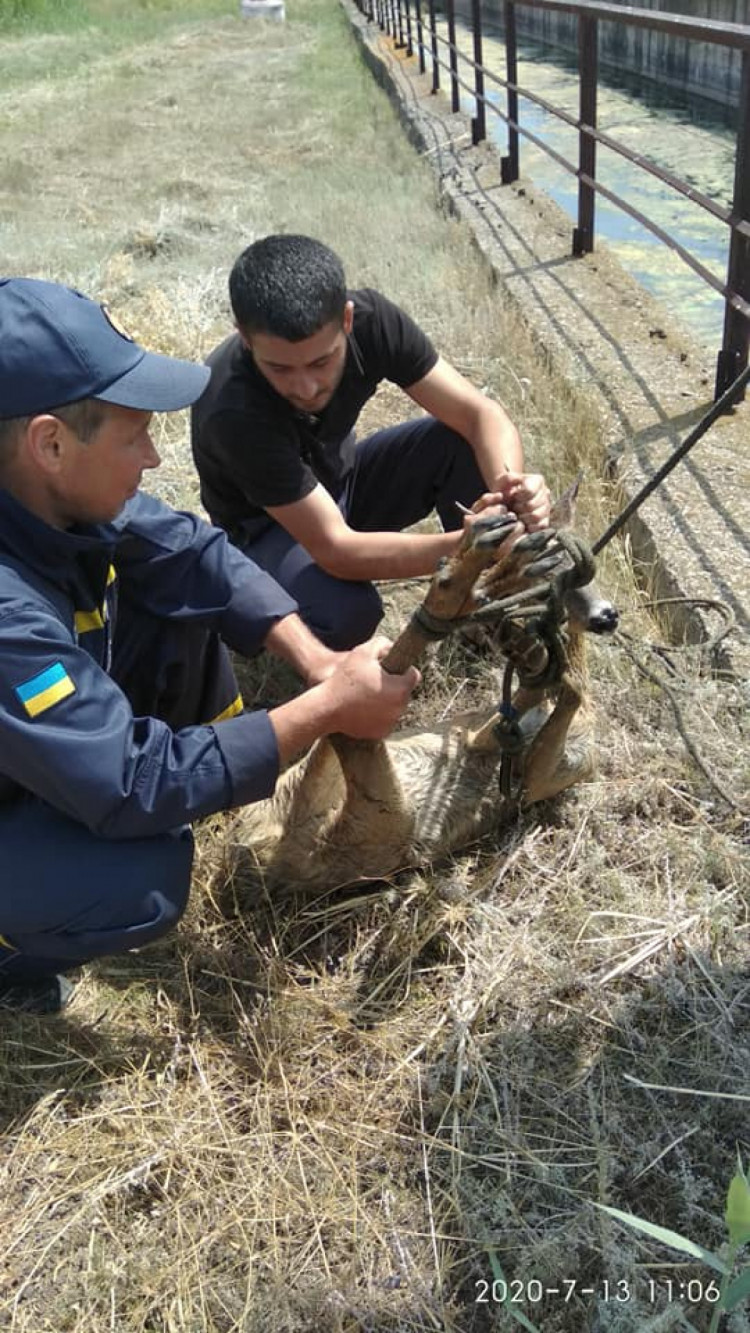 Фото: facebook/trklozova