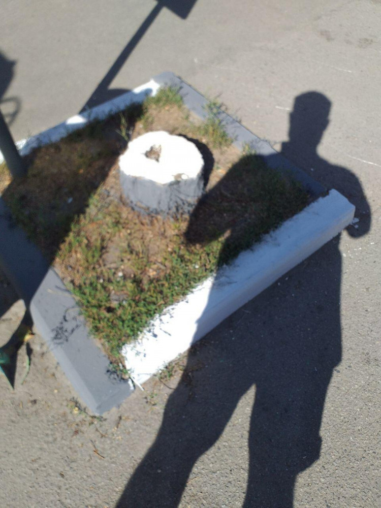 Фото: "Веха"