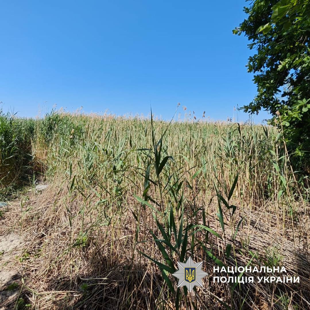 Мужчина подорвался возле Печенежского водохранилища. Фото: Нацполиция