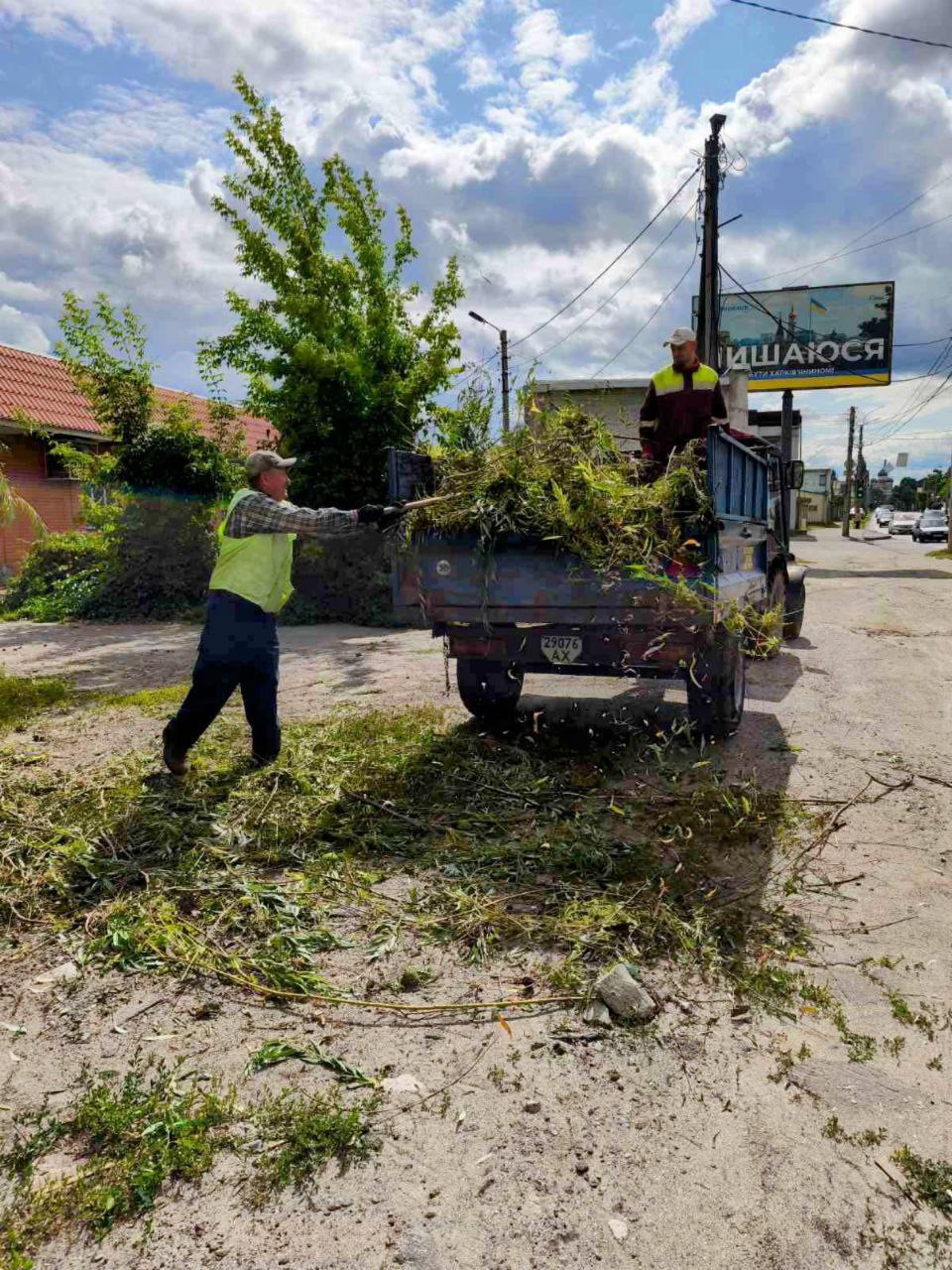 Буревій у Харкові: постраждала жінка, поламано 33 дерева та 77 гілок. Фото: Харківська міськрада