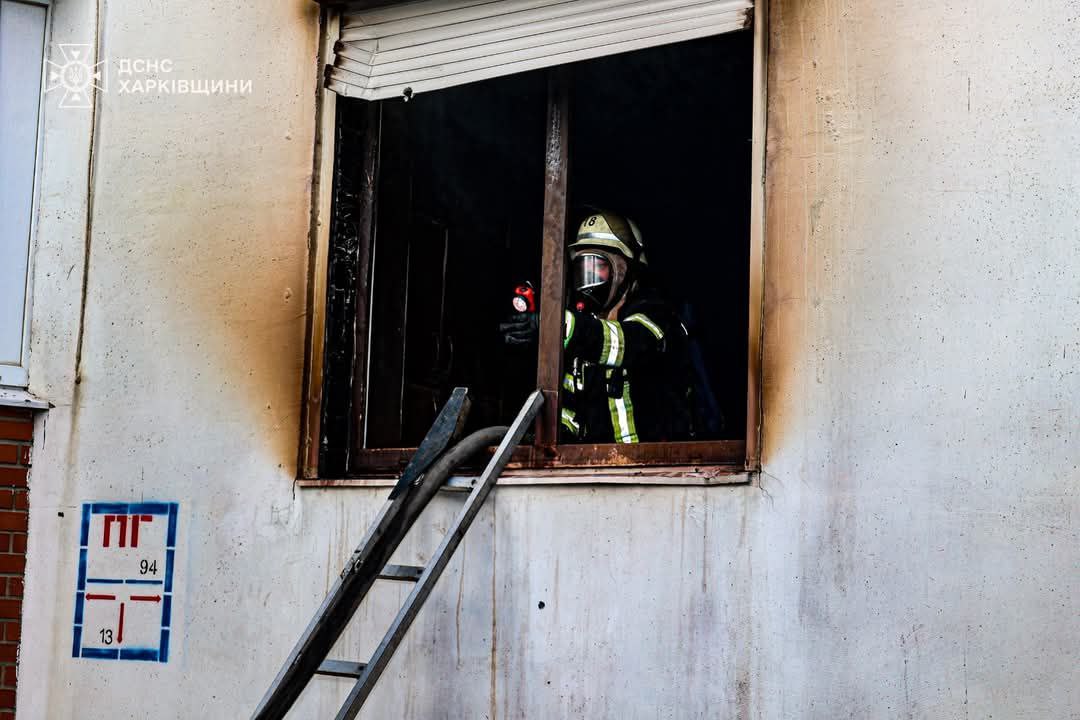 У Харкові ліквідували пожежу в багатоповерхівці та врятували двох котів. Фото: ДСНС