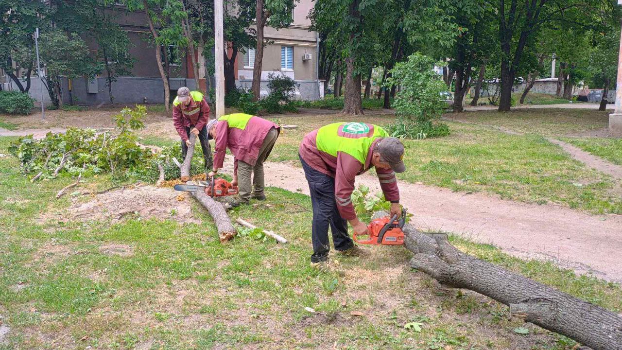Буревій у Харкові: постраждала жінка, поламано 33 дерева та 77 гілок. Фото: Харківська міськрада