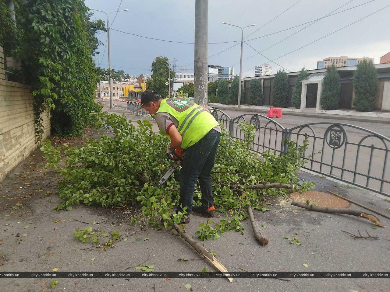 Более 500 крыш и тысяча деревьев: Харьков ликвидирует последствия мощного урагана. Фото: Харьковский горсовет
