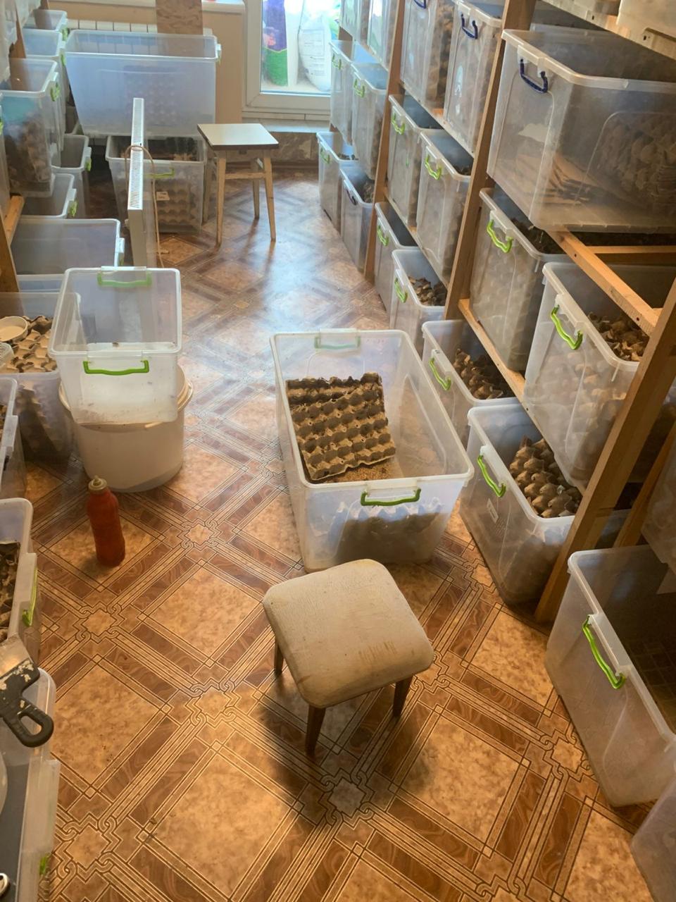 У Харкові з квартири вилучили екзотичних тварин. Фото: Харківська міськрада