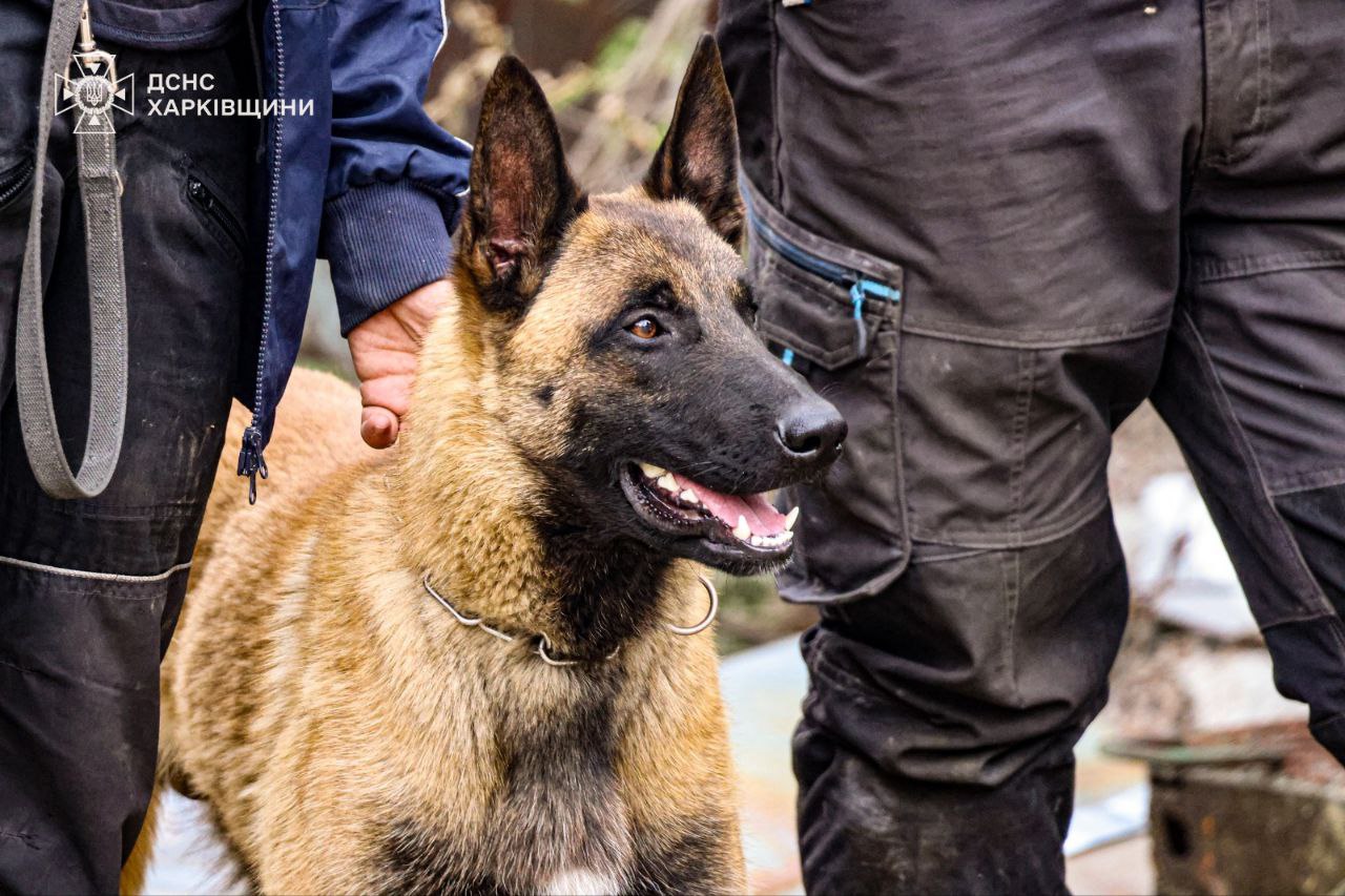 У Харкові завершено пошукові роботи після обстрілу: знайдено тіла шести загиблих.
