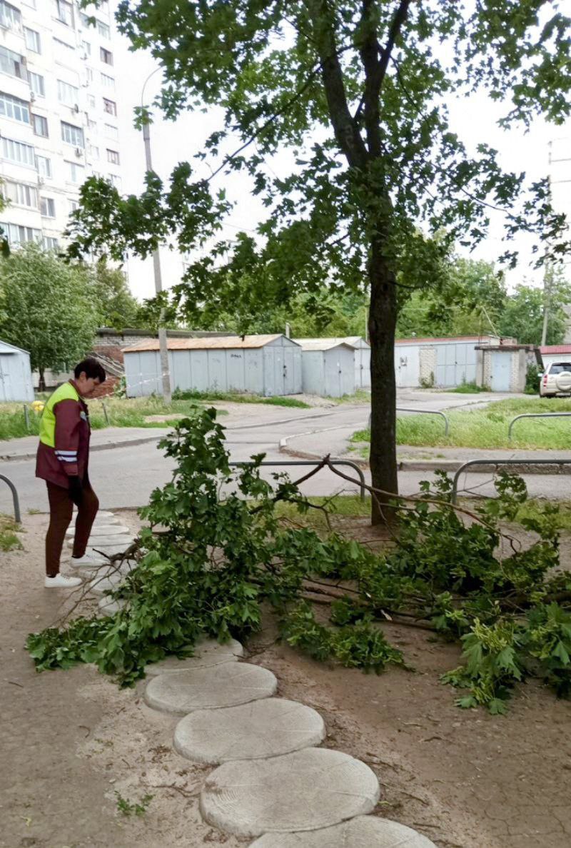 Буревій у Харкові: постраждала жінка, поламано 33 дерева та 77 гілок. Фото: Харківська міськрада