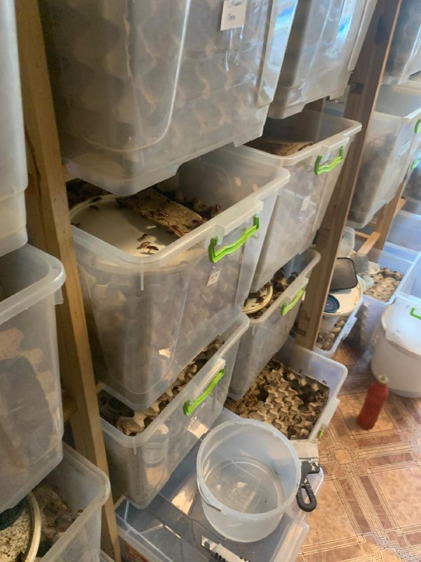 У Харкові з квартири вилучили екзотичних тварин. Фото: Харківська міськрада