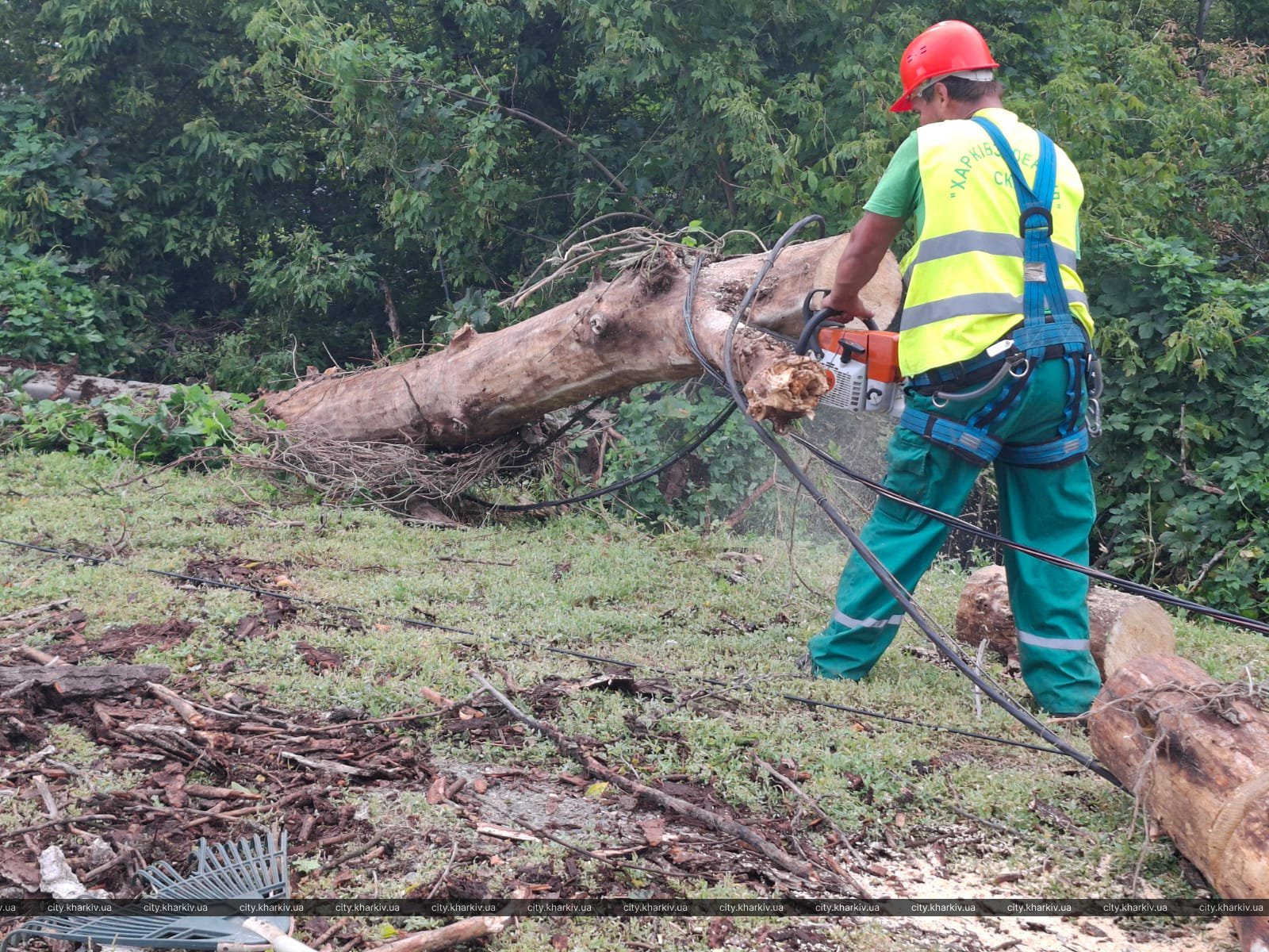Более 500 крыш и тысяча деревьев: Харьков ликвидирует последствия мощного урагана. Фото: Харьковский горсовет