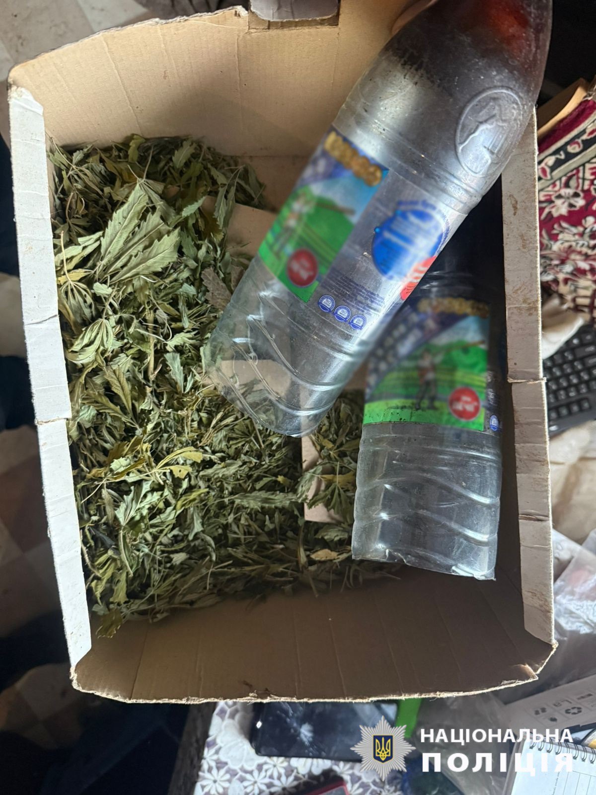 У Харкові чоловік вбив матір сокирою. Фото: ГУ Нацполіції в Харківській області