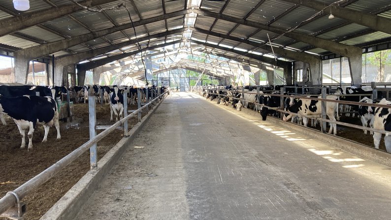 рф уничтожила одно из ведущих производств молока в Харьковской области. Фото: Суспільне