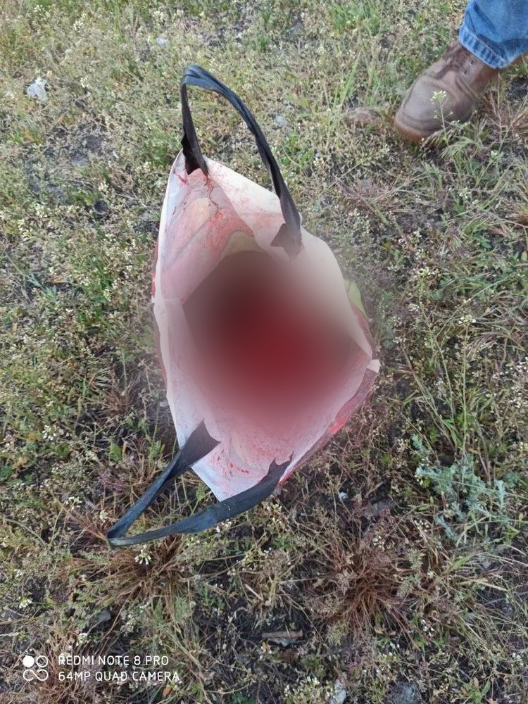 Несла голову в пакете: в Харькове задержали голую женщину, которая убила свою дочь (фото 18+) фото 2 1