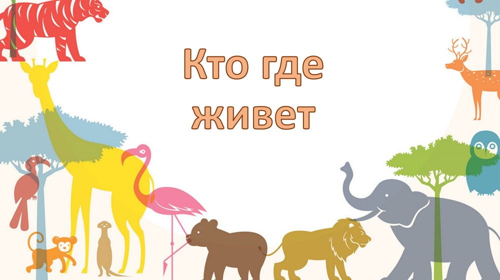 Про репродуктивные технологии и взаимоотношения с животными: харьковский зоопарк запустил лекции онлайн фото 1