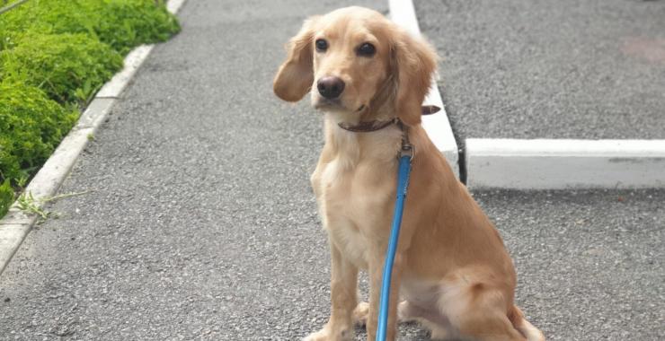 Фото: Ольга Голубева