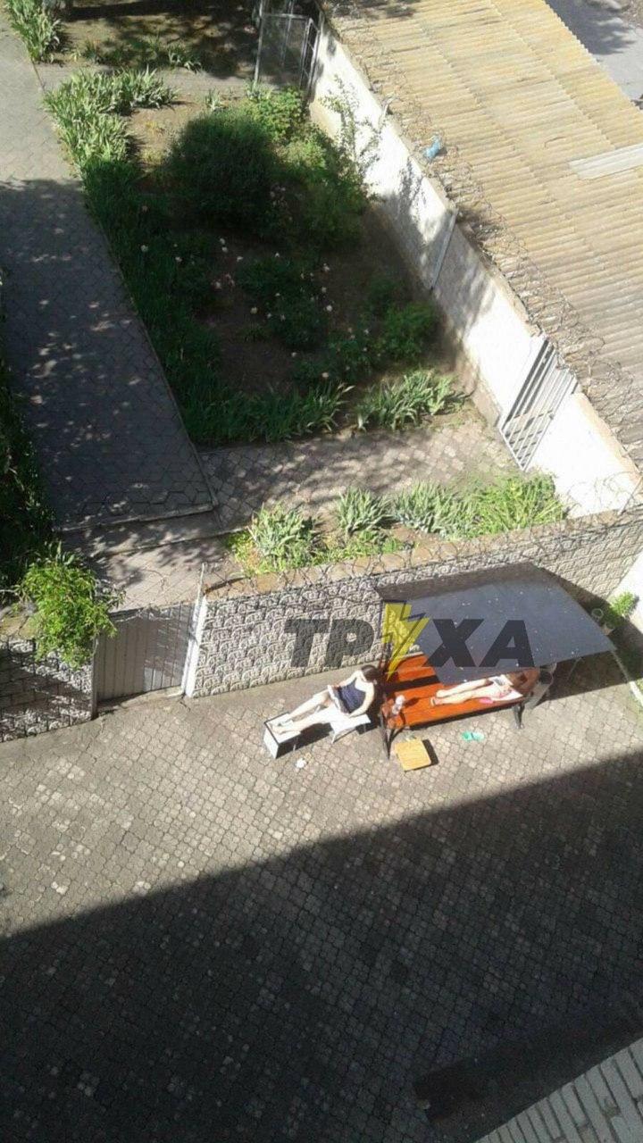 Фото: "Труха"