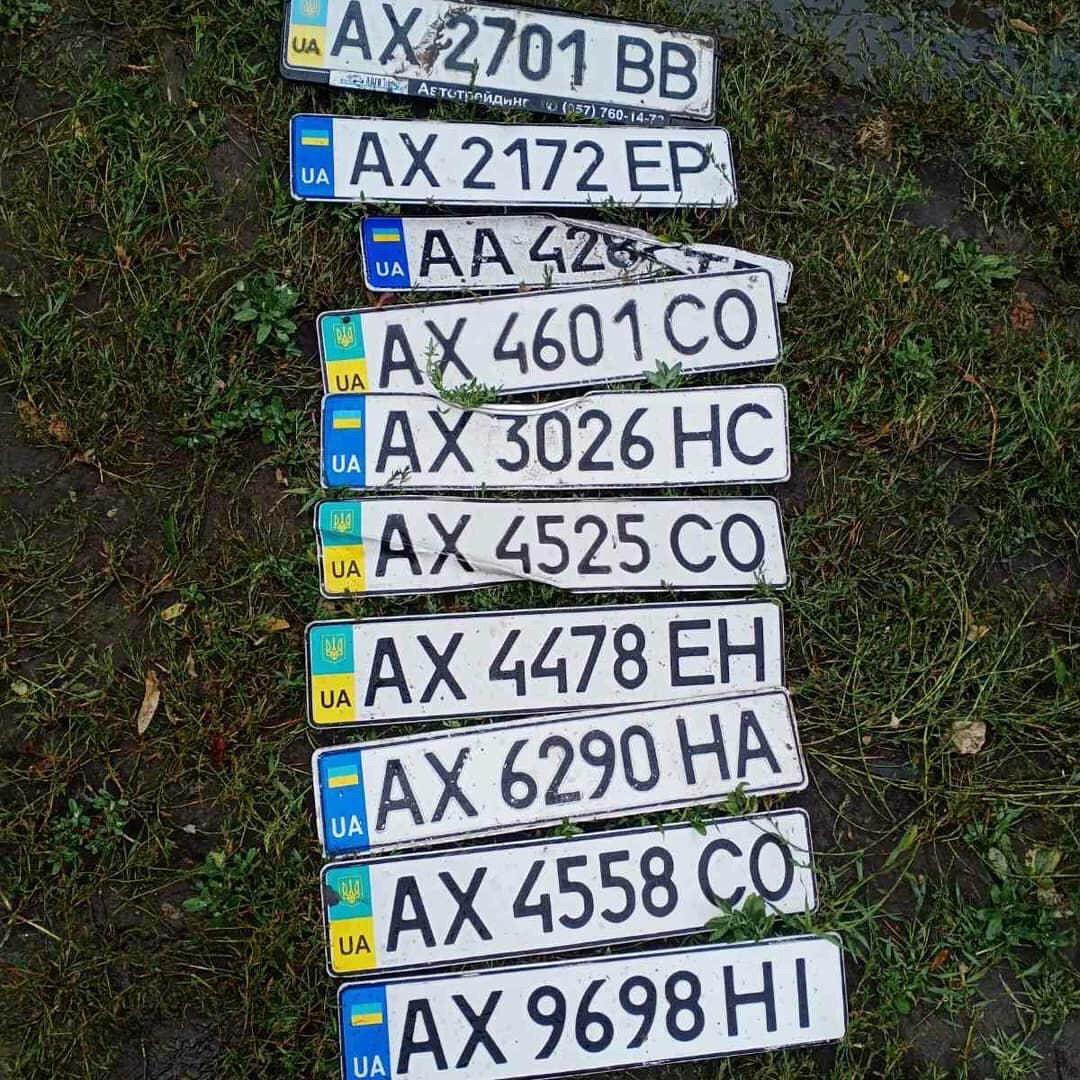 Писать: instagram.com/zloykote7. Фото: Потеряшки ХарьковФото: Потеряшки Харьков