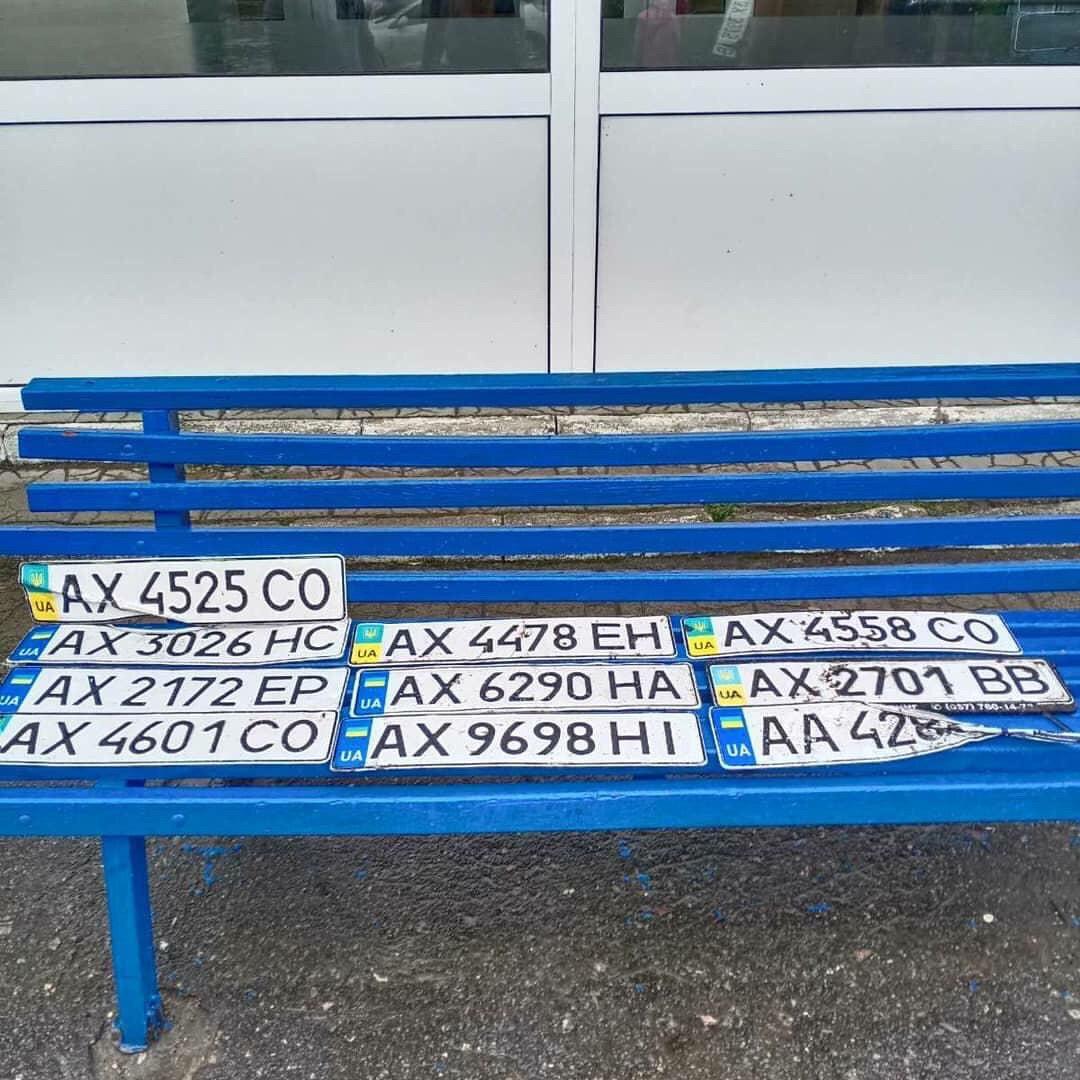 Писать: instagram.com/zloykote7. Фото: Потеряшки Харьков