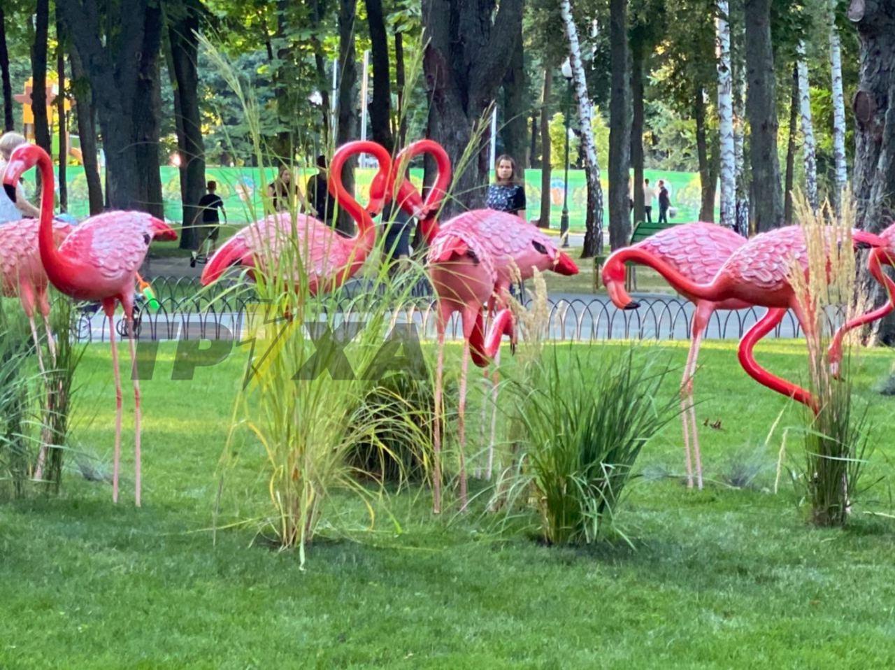 Фото: Труха