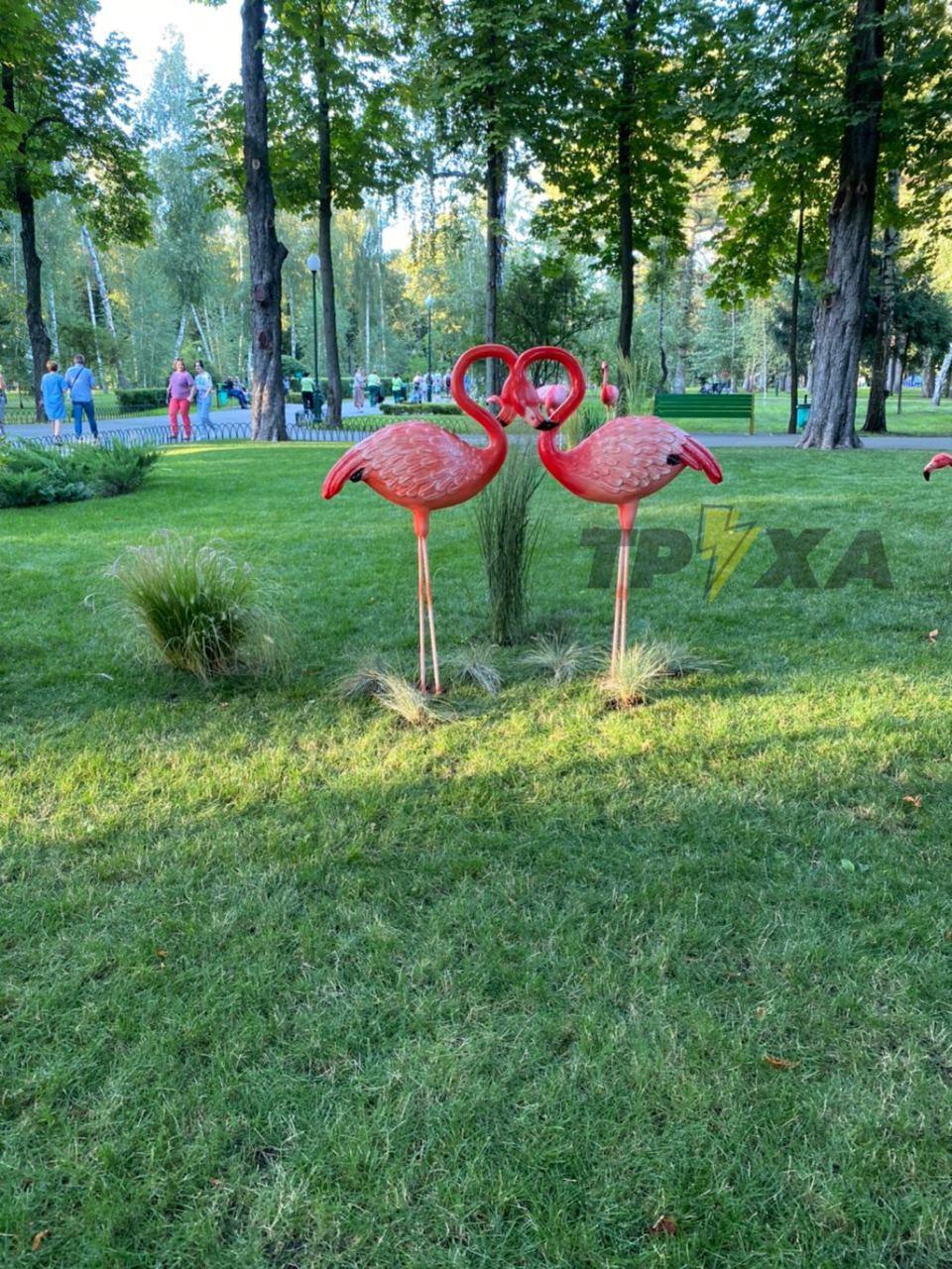 Фото: Труха