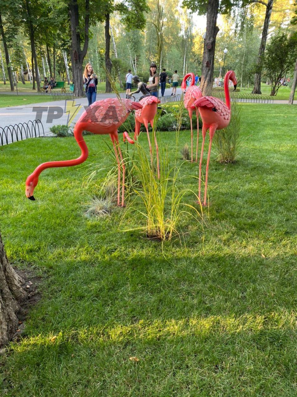 Фото: Труха