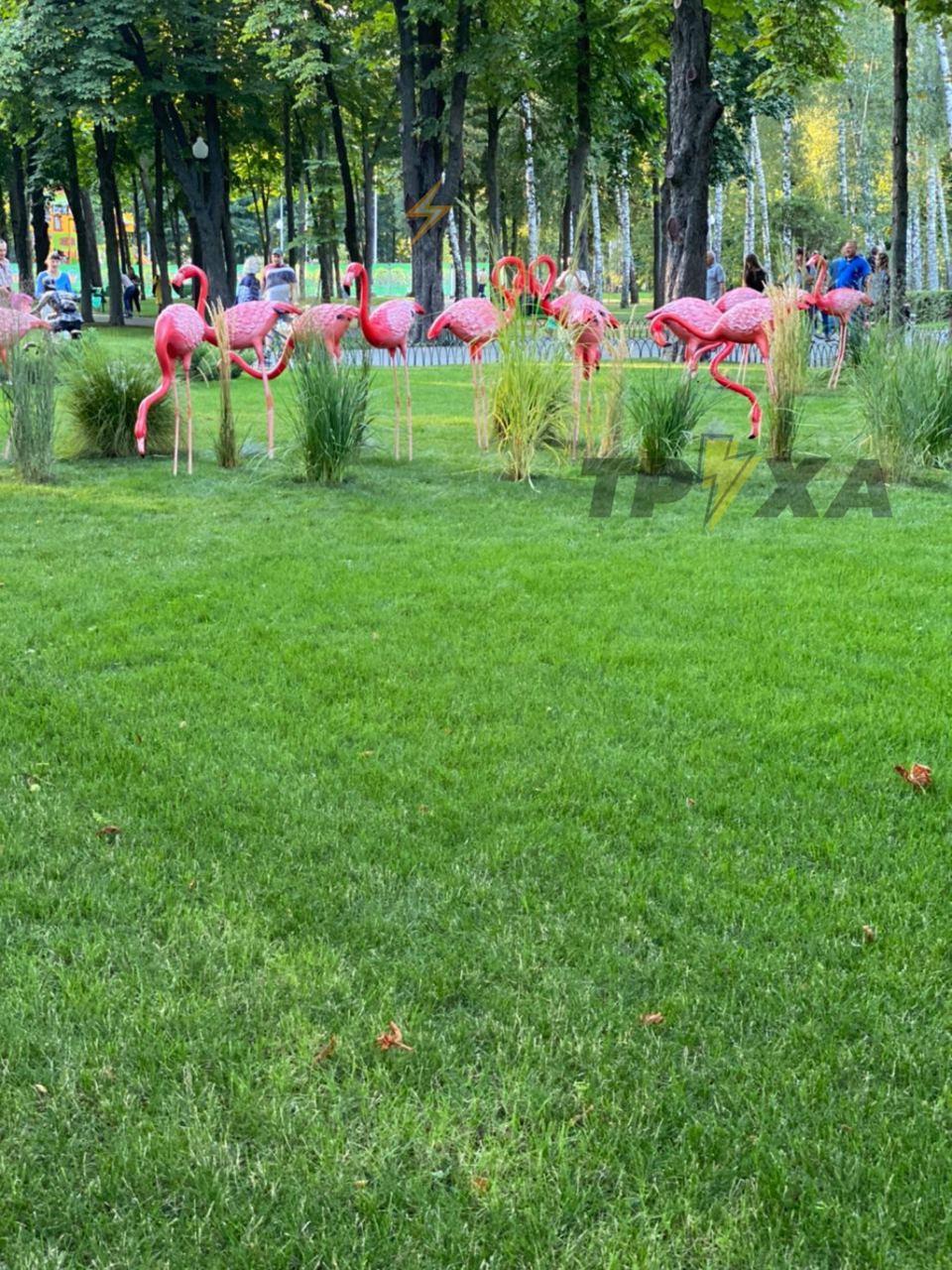 Фото: Труха