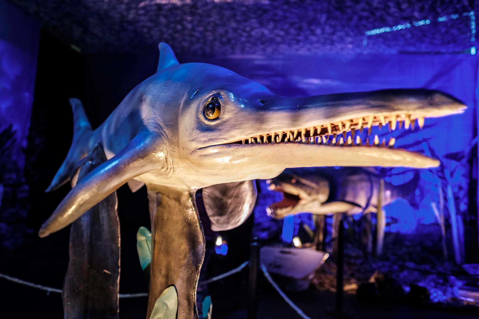 В Харькове открывается выставка "Динозавры морских глубин". Фото: aureaexhibitions.com