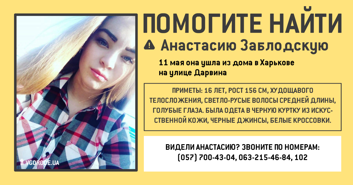 Инфографика: Vgorode