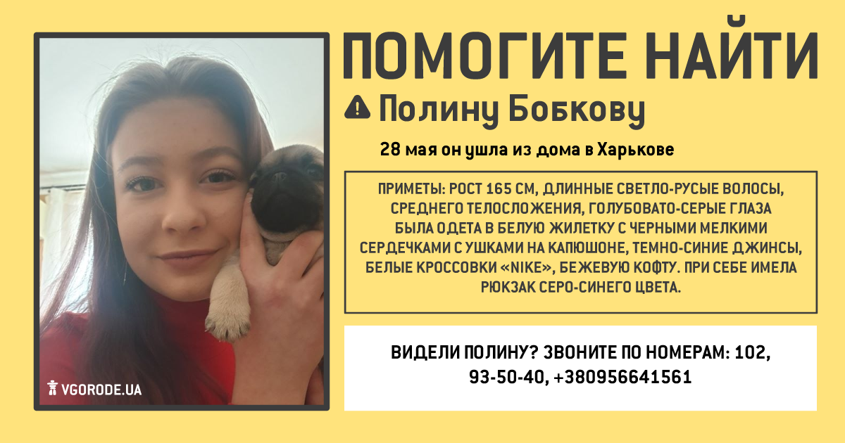 Инфографика: Vgorode