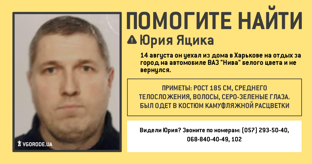 Инфографика: Vgorode