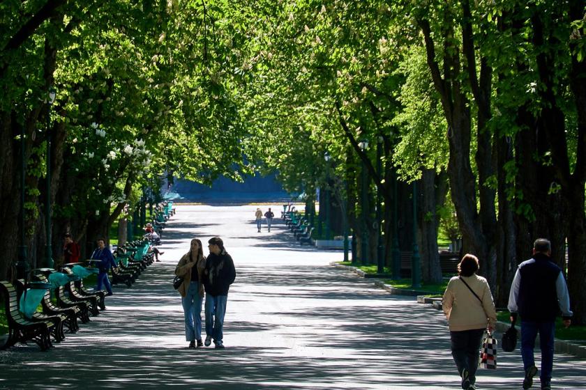 Фото: Сергей Козлов/KHARKIV Today