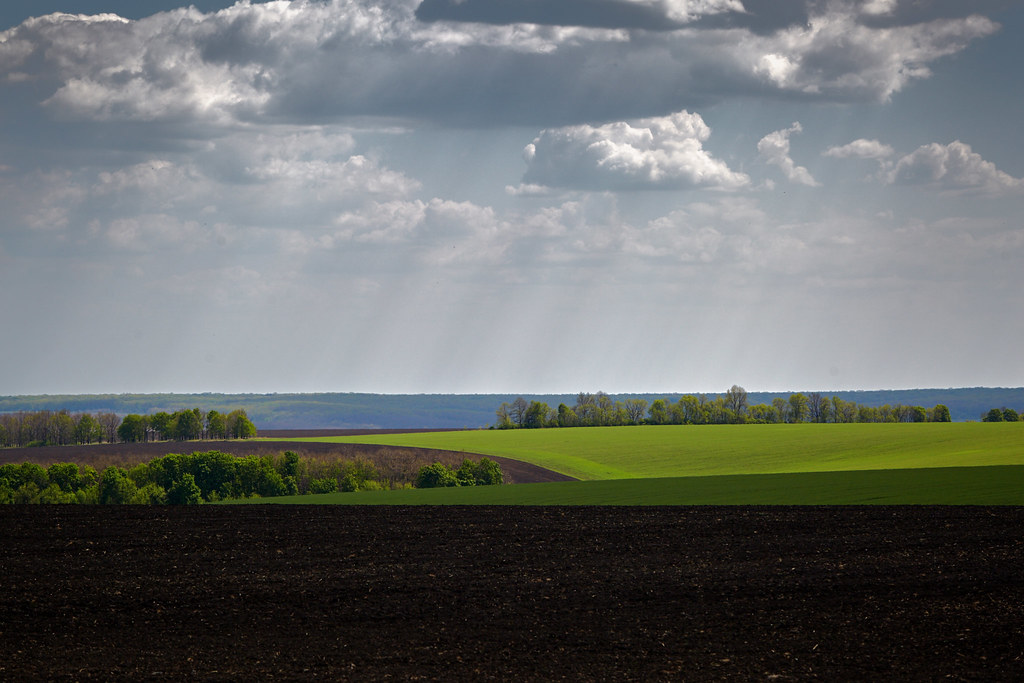 Фото: Сергей Козлов/KHARKIV Today