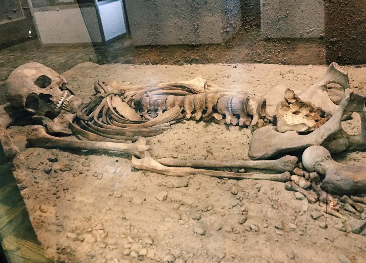 Выставка "Аланы, болгары, хазары?".