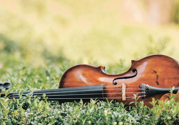 Классика в саду на "Механике"