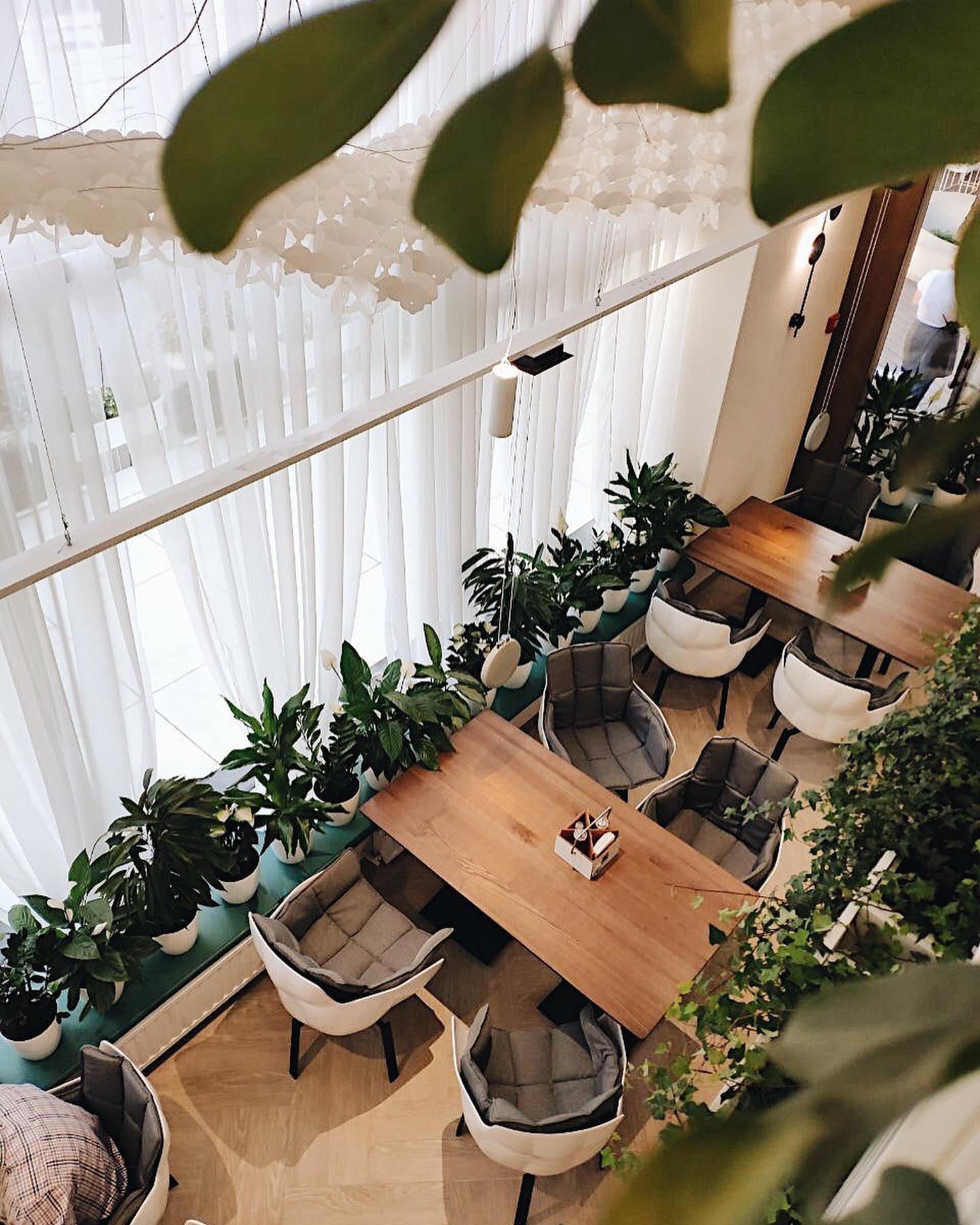 White garden. Фото: White garden/facebook