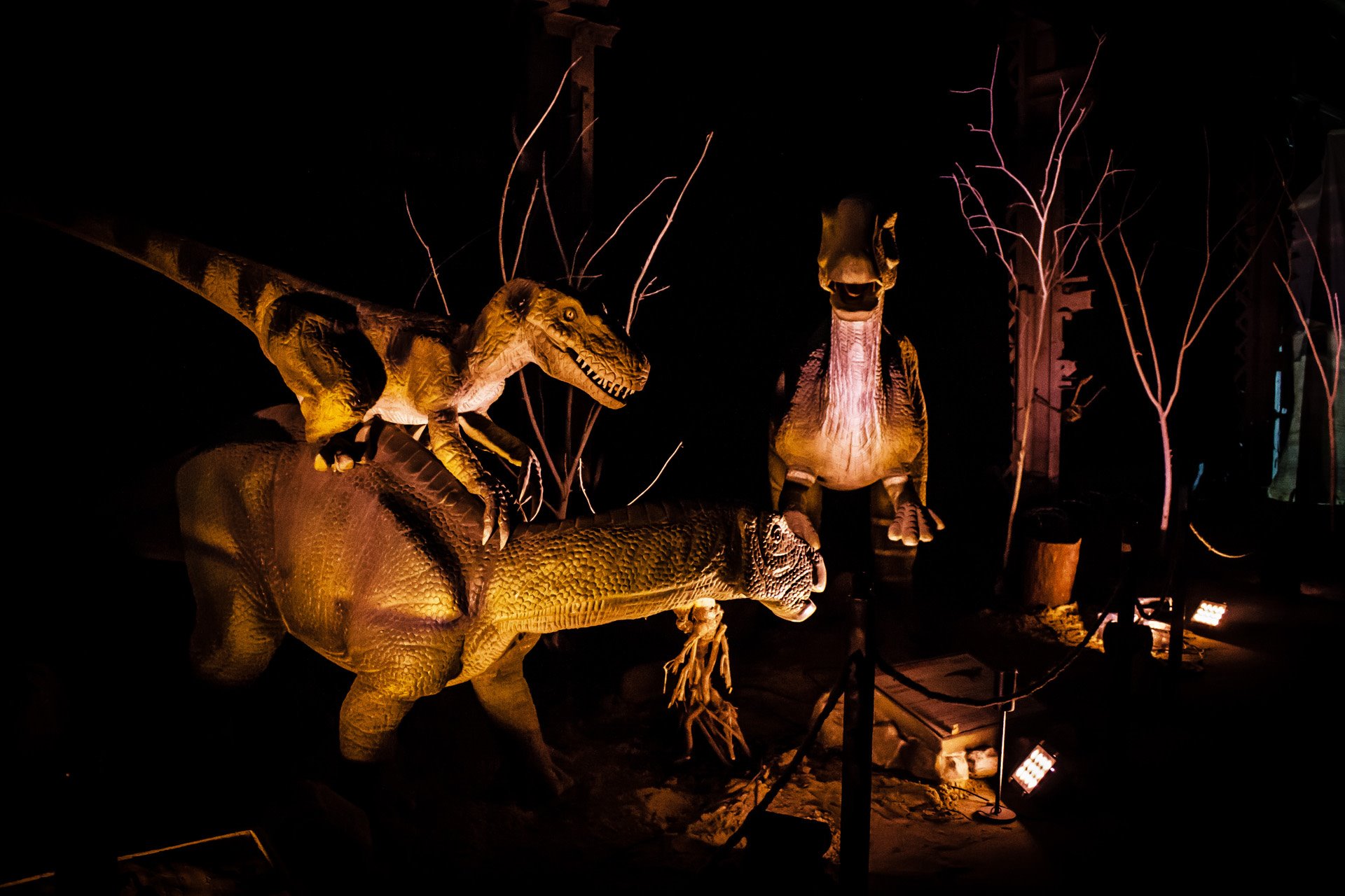 Интерактивная выставка "Планета динозавров": фото 1