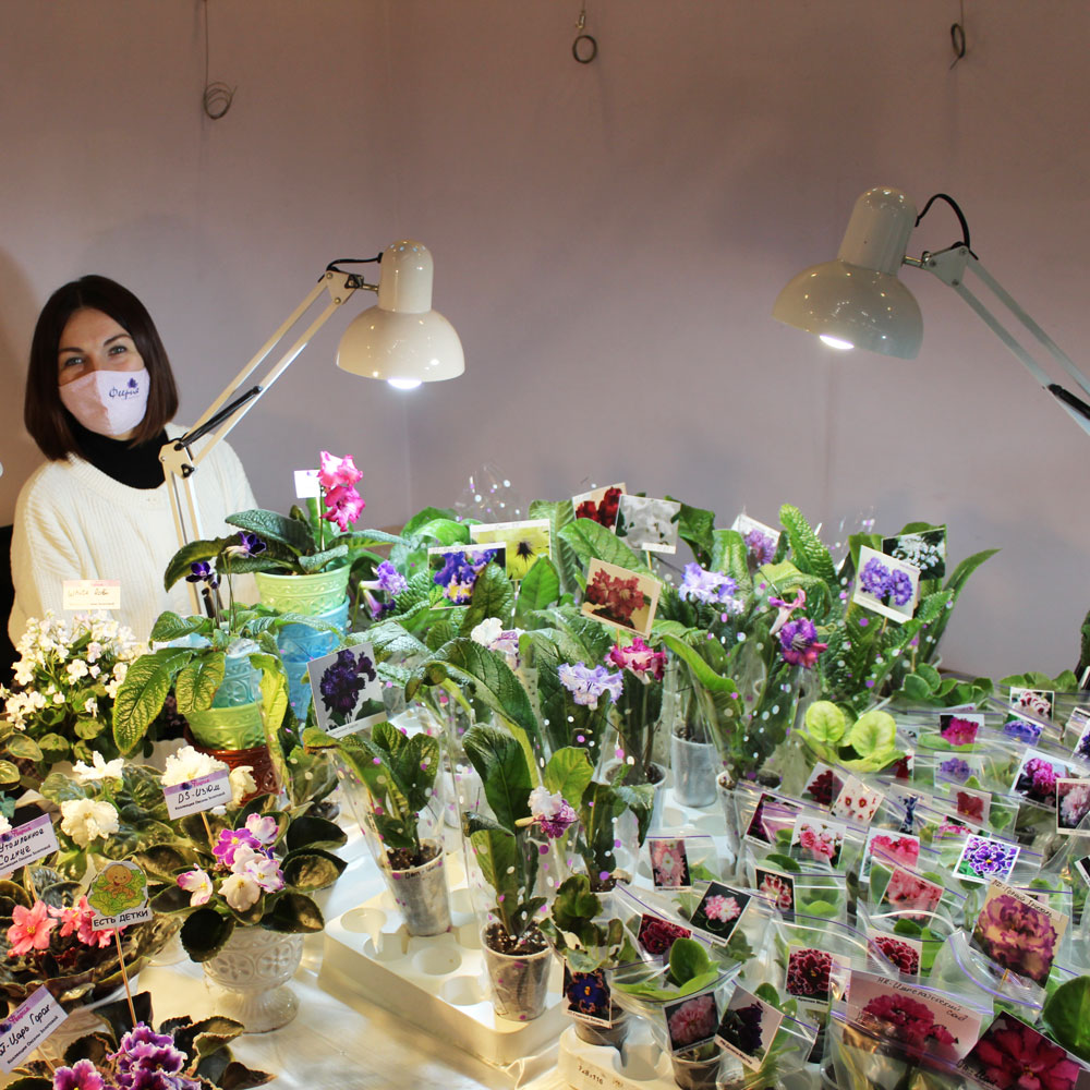 Выставка фиалок: фото 2